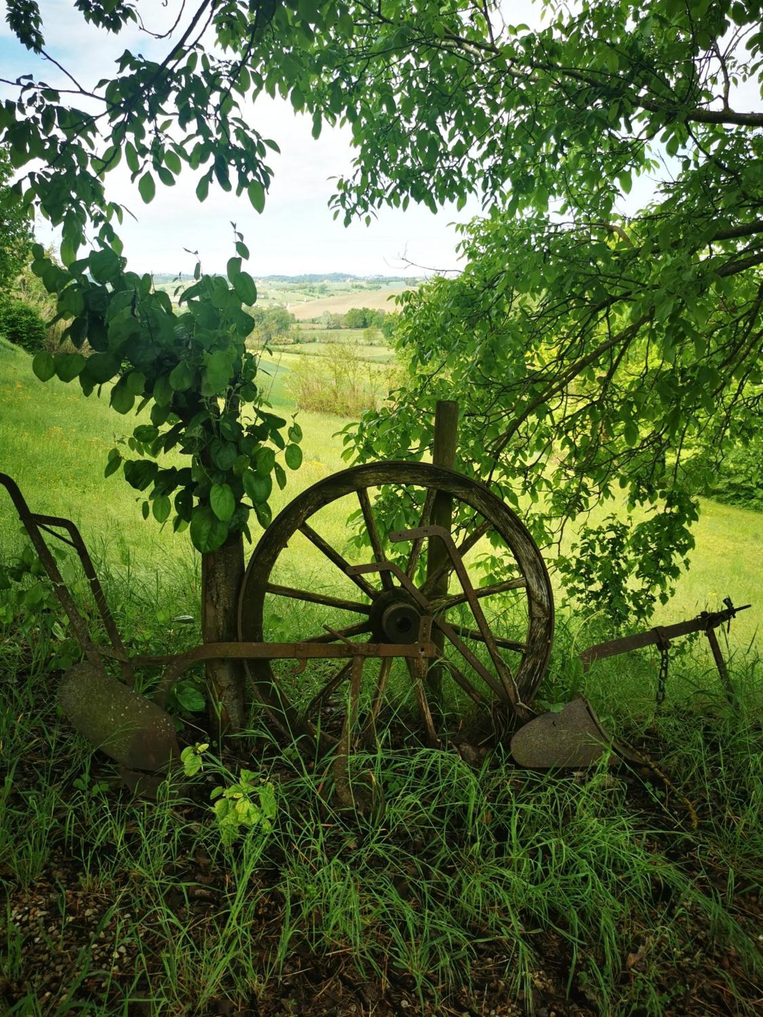 Azienda Agricola Tenuta Del Barone Calliano  Exteriér fotografie